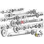 Koło zębate wstecznego biegu C330 Ursus
